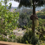 Sobrado à venda com 4 quartos, sendo 3 suítes, em Palmas do Tremembé, São Paulo, SP