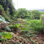 Terreno à venda em Jardim Leonor, São Paulo, SP