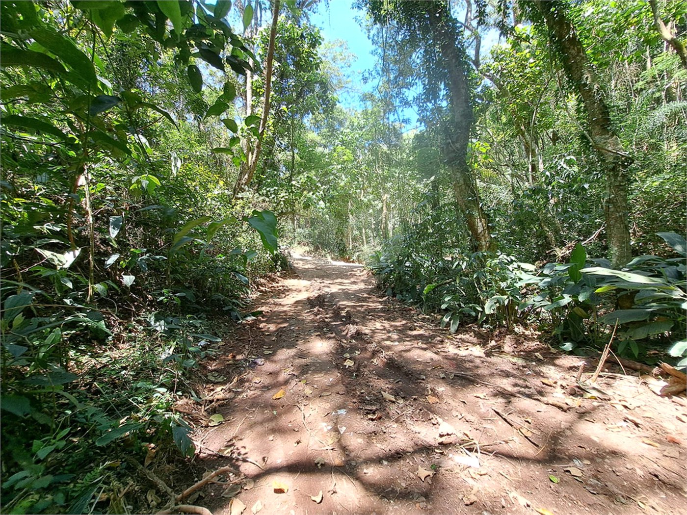 Terreno à venda em Serra da Cantareira, Mairiporã, SP