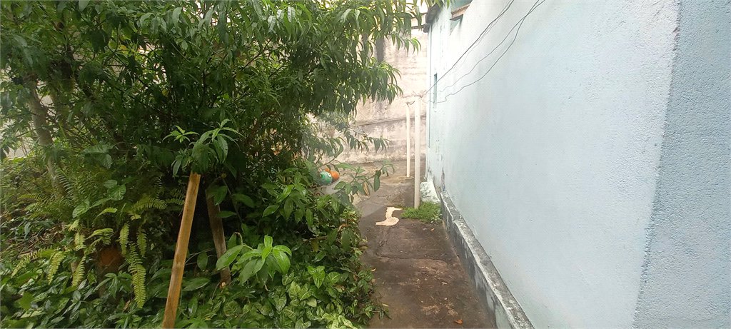 Casa à venda com 3 quartos em Santa Teresinha, São Paulo, SP