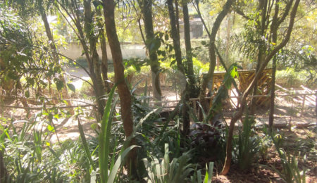 Casa à venda ou para alugar com 3 suítes em Juqueri Mirim, Mairiporã, SP