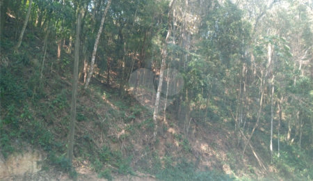 Terreno à venda em Serra da Cantareira, Mairiporã, SP