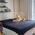 Apartamento à venda com 3 quartos, sendo 1 suíte,  em Vila Olímpia, São Paulo, SP
