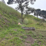 Terreno à venda em Taipas de Pedras (mailasqui), São Roque, SP