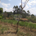Sítio à venda com 2 quartos no Centro, Descalvado, SP