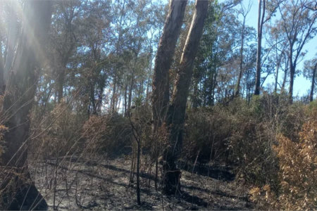 Terreno à venda em Caete (mailasqui), São Roque, SP