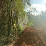 Terreno à venda em Roseira, Mairiporã, SP