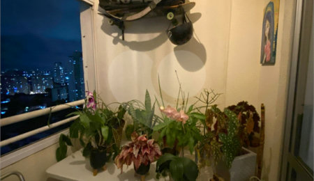 Apartamento à venda com 3 quartos, sendo 1 suíte, em Barra Funda, São Paulo, SP