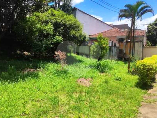 Terreno à venda com 3 quartos, sendo 1 suíte, em Vila Mazzei, São Paulo, SP