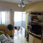 Casa Térrea à venda com 3 quartos, sendo 2 suítes,  em Parque Edu Chaves, São Paulo, SP