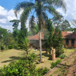 Sítio à venda com 6 quartos, sendo 5 suítes,  em Curral, Ibiúna, SP