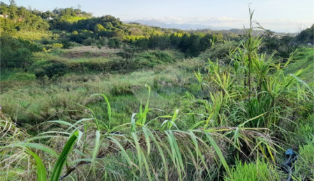 Área de Terra à venda em Três Pistas, Atibaia, SP