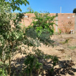 Terreno no Planalto Paraíso