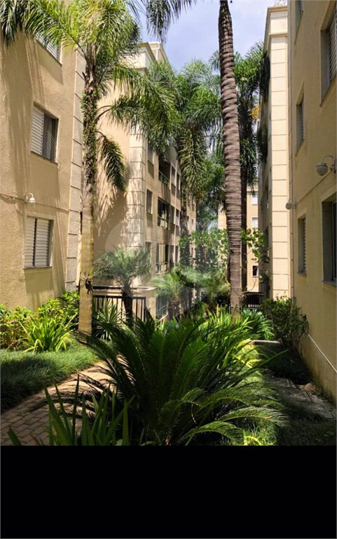 Apartamento à venda com 3 quartos, sendo 1 suíte, em Paraisópolis, São Paulo, SP