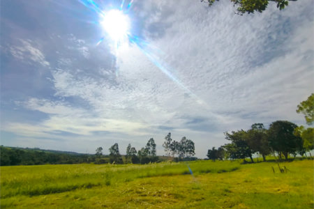 Sítio à venda com 3 quartos em Campo de Boituva, Boituva, SP