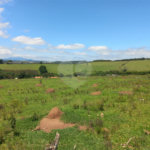 Sítio à venda com 1 quarto em Recanto Amapola, Bragança Paulista, SP