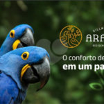 Apartamento à venda com 2 quartos em Parque Residencial Rafael Alcalá, Porto Feliz, SP