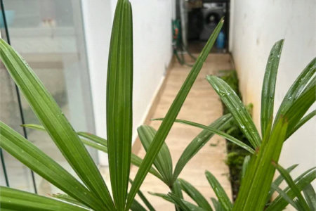 Sobrado à venda com 3 quartos, sendo 1 suíte, em Jardim Vazani, São Paulo, SP