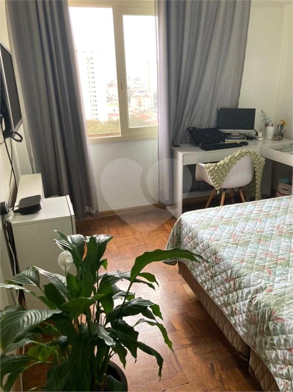 Apartamento à venda com 3 quartos, sendo 1 suíte, em Tucuruvi, São Paulo, SP