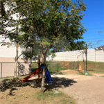 Apartamento à venda com 2 quartos em Tremembé, São Paulo, SP