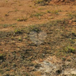 Terreno à venda no condomínio Mirantes de Itupararanga, Piedade - SP
