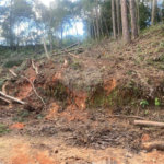 Terreno à venda no Centro (mailasqui), São Roque, SP
