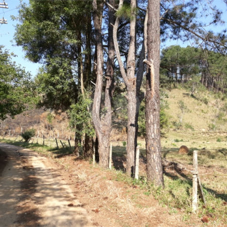 Sítio à venda com 3 quartos em Bairro do Cambará, São Roque, SP