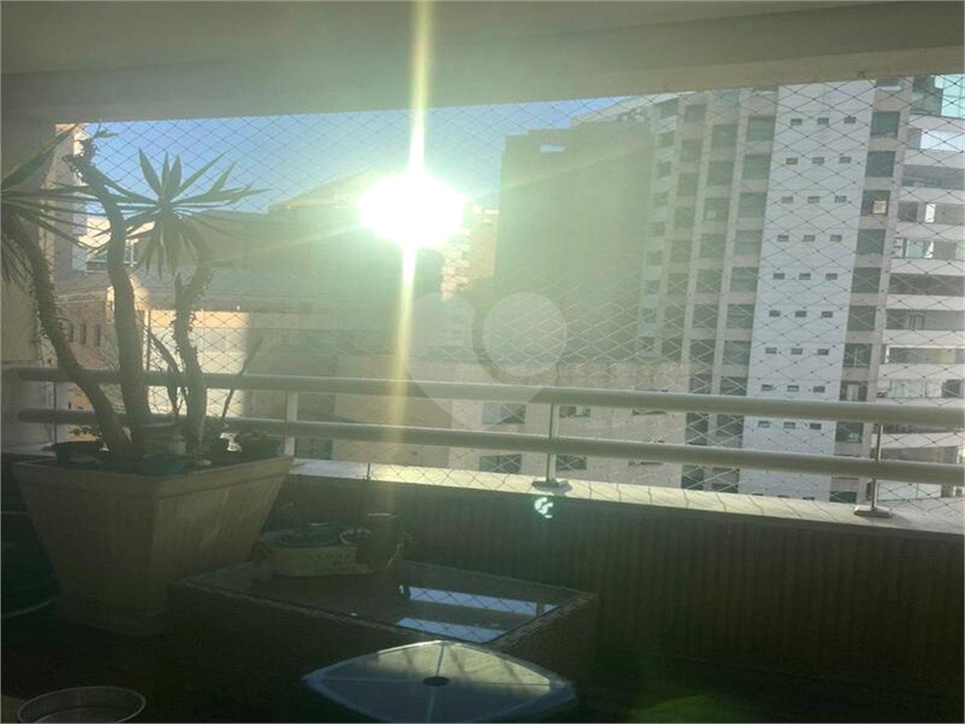Apartamento à venda com 3 quartos, sendo 1 suíte, em Planalto Paulista, São Paulo, SP