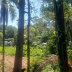 Terreno à venda em Morumbi, São Paulo, SP