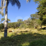 Terreno à venda em Vila Palmares, Franco da Rocha, SP