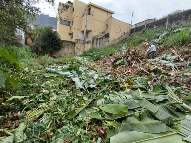 Terreno à venda em Tucuruvi, São Paulo, SP