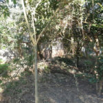 Terreno à venda em Taboão, São Roque, SP