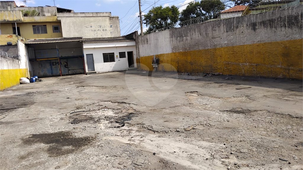 Terreno para alugar em Jardim Ivana, São Paulo, SP