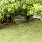Chácara à venda com 3 quartos, sendo 1 suíte,  em Conjunto Habitacional Brás Cubas, Mogi das Cruzes, SP