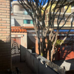 Sobrado à venda com 7 quartos, sendo 1 suíte, em Tremembé, São Paulo, SP