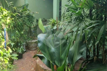 Casa de Vila à venda com 3 quartos em Jardim São Roque, São Paulo, SP
