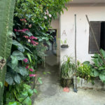 Casa à venda com 2 quartos em Jardim Santa Mena, Guarulhos, SP