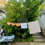Casa à venda com 3 quartos em Horto, São Paulo, SP