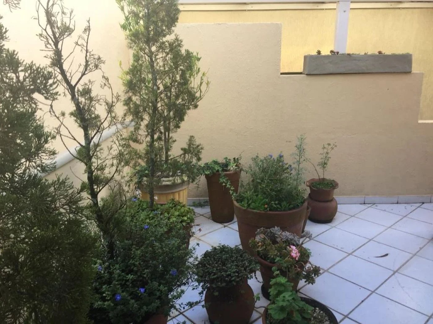 Casa à venda com 5 quartos, sendo 4 suítes, no condomínio Jardim Vitória Régia, São Paulo - SP