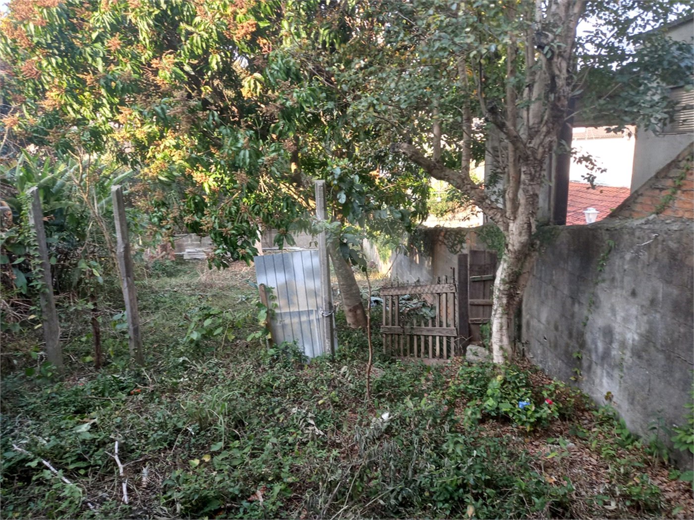 Terreno à venda em Tremembé, São Paulo, SP