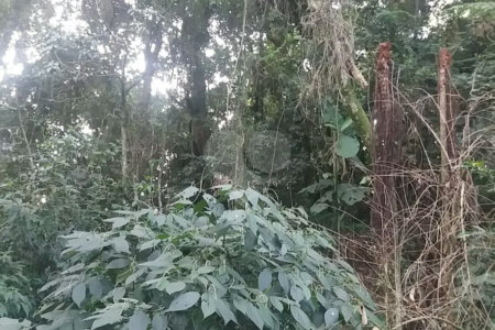 Terreno à venda em Tucuruvi, São Paulo, SP