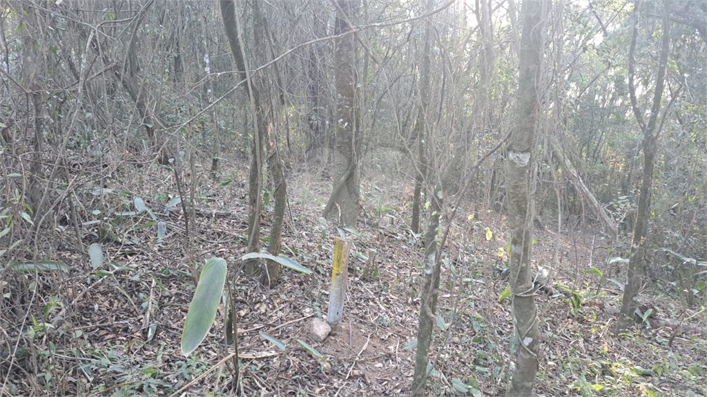 Terreno à venda em Serra da Cantareira, Mairiporã, SP