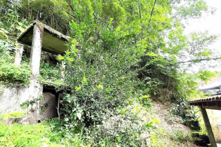 Terreno Residencial à venda, Morro de Nova Cintra, Santos - TE0034.