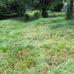 Terreno à venda em Marambaia, Vinhedo, SP
