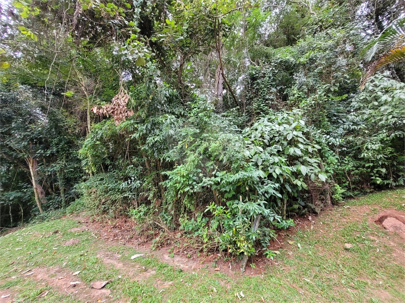 Terreno à venda no condomínio Alpes da Cantareira, Mairiporã - SP