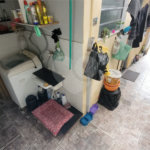 Casa à venda com 4 quartos, sendo 1 suíte, em Jardim Japão, São Paulo, SP