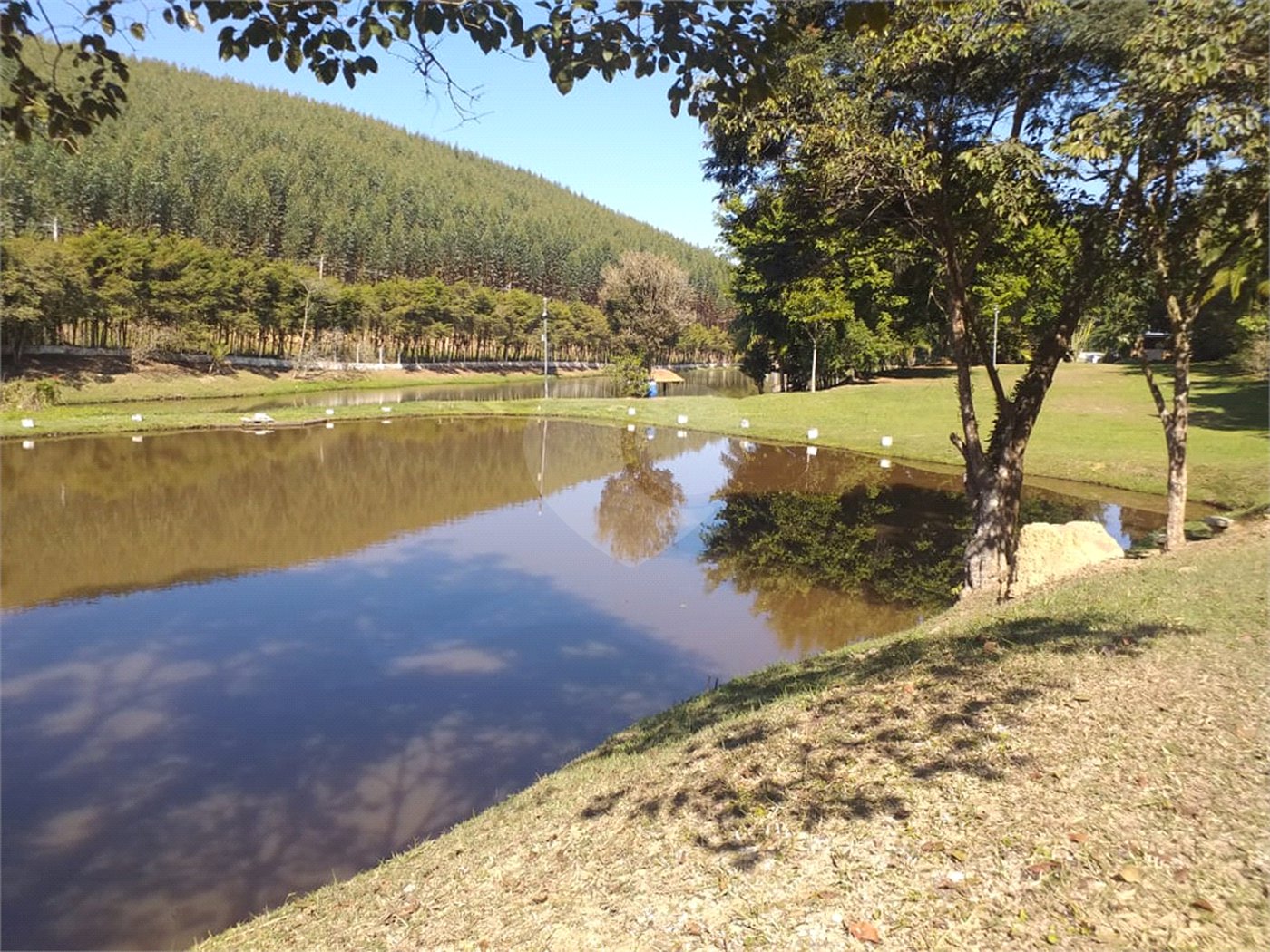 Sítio à venda com 4 quartos, sendo 1 suíte,  em Cruz das Almas, Biritiba-mirim, SP