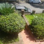 Sobrado à venda com 3 quartos em Jardim São Bento, São Paulo, SP