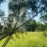 Terreno à venda em Paraisópolis, São Paulo, SP