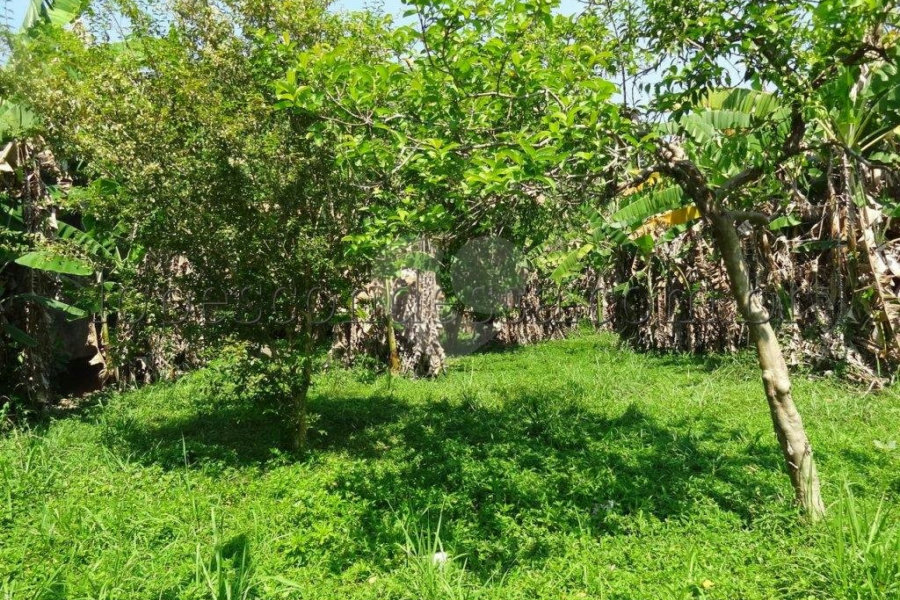 Terreno à venda em Horto Florestal, São Paulo, SP